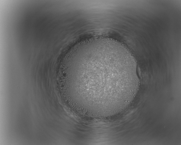 X0000059820913200511041715