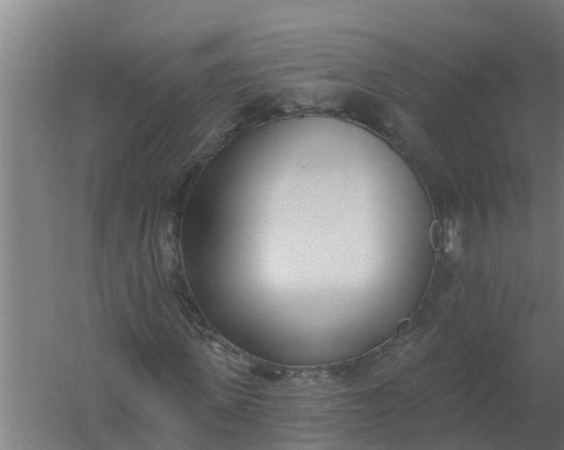 X0000059820915200511041715