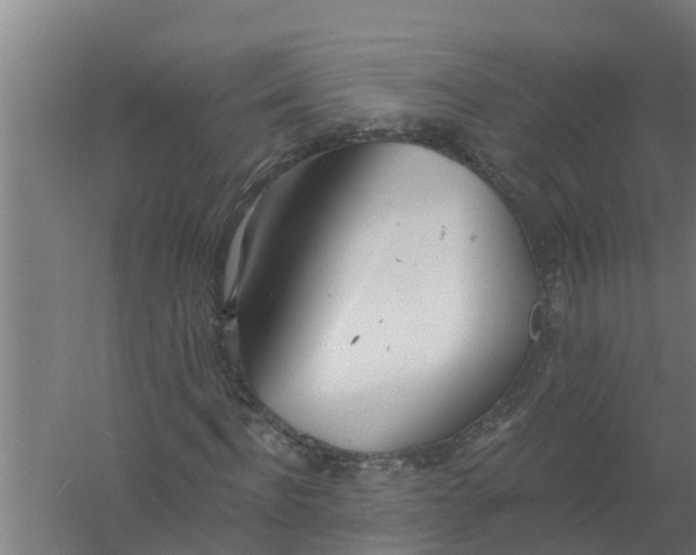 X0000059820916200511041715