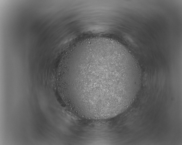 X0000059820917200511041715