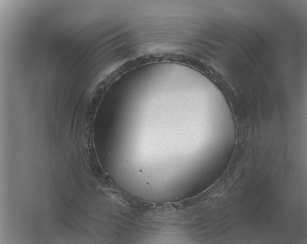 X0000059820919200511041715