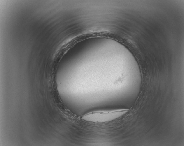 X0000059820920200511041715