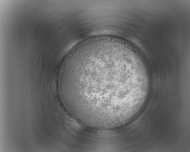 X0000059820921200511041715