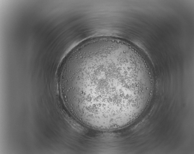 X0000059820925200511041716