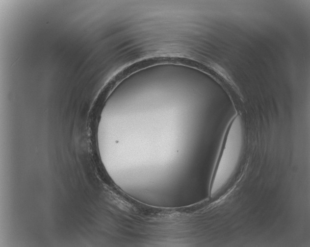 X0000059820926200511041716