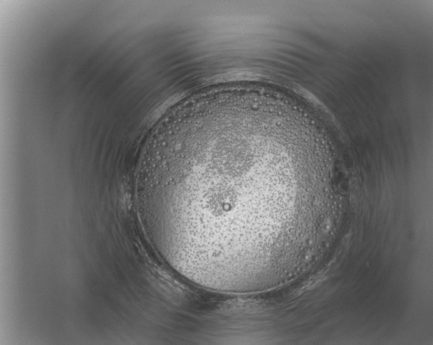 X0000059820929200511041716