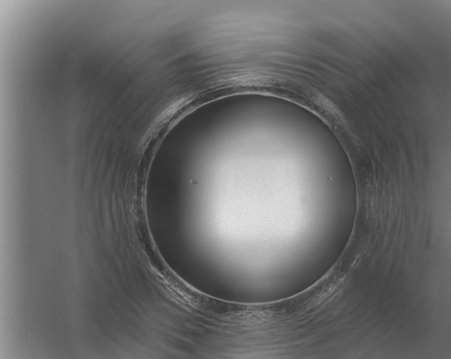 X0000059820930200511041716