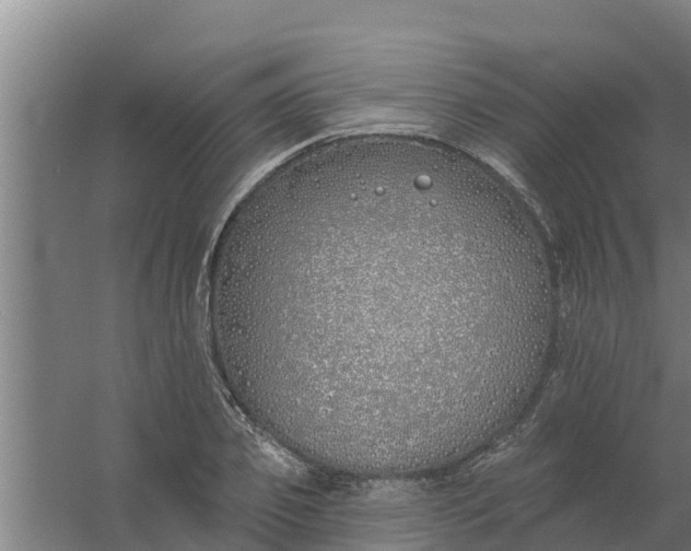 X0000059820933200511041716