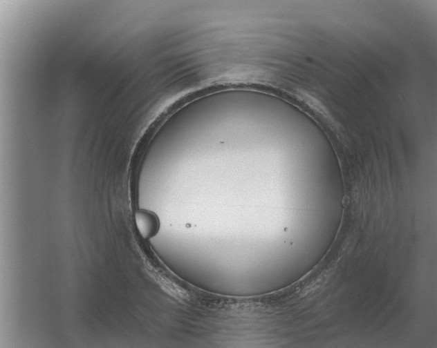 X0000059820934200511041716