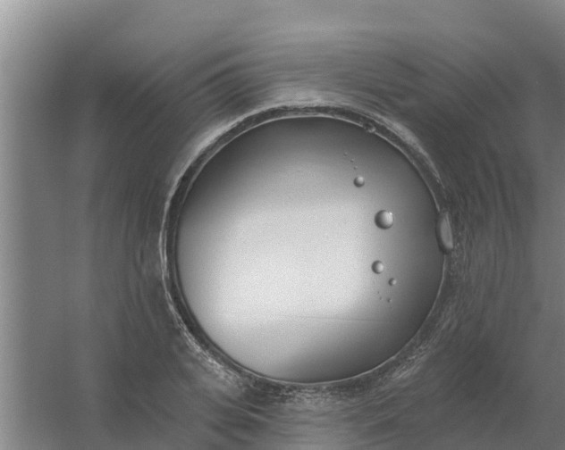 X0000059820935200511041716