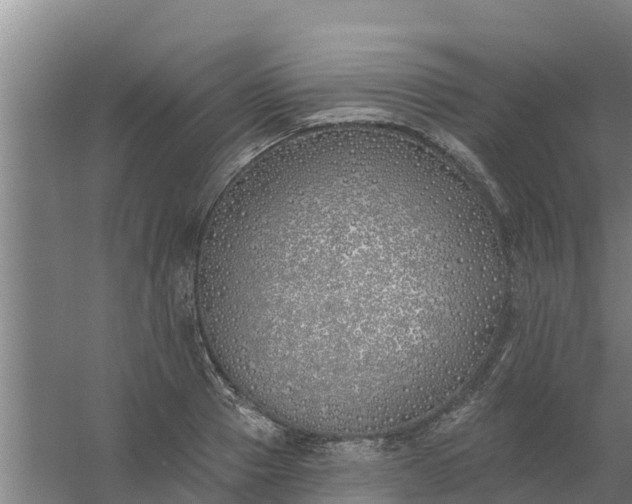 X0000059820937200511041716