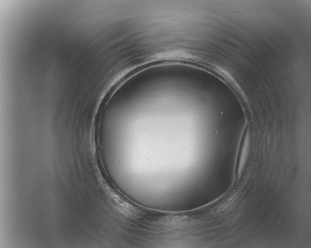 X0000059820939200511041716