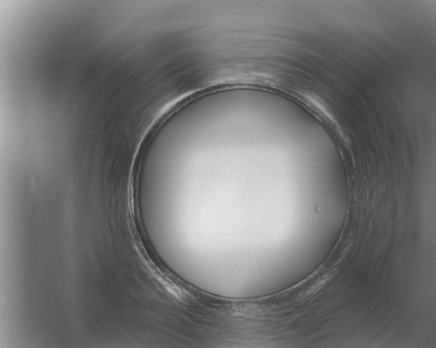 X0000059820940200511041716