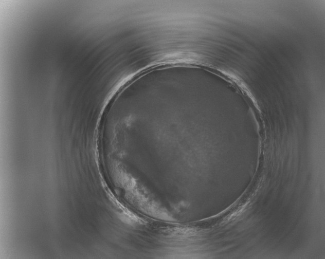 X0000059820941200511041716