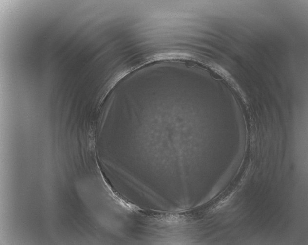 X0000059820945200511041716