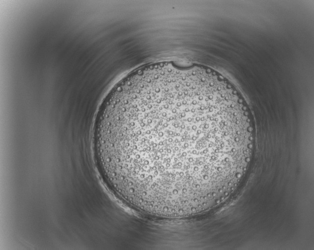 X0000059820949200511041716