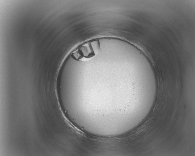 X0000059820950200511041716