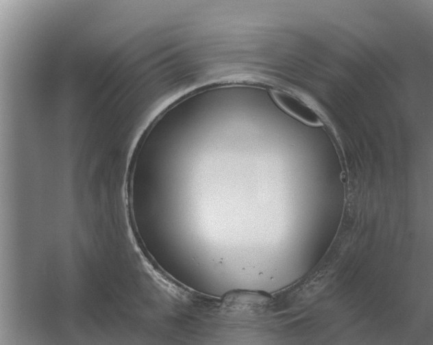 X0000059820951200511041716