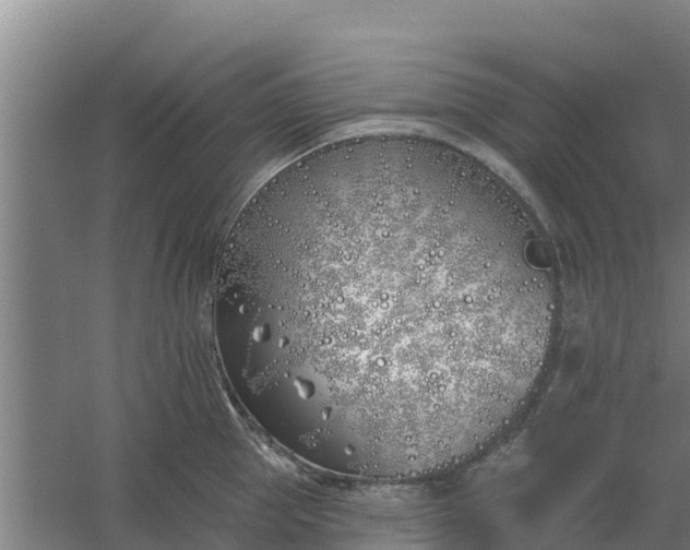 X0000059820953200511041716