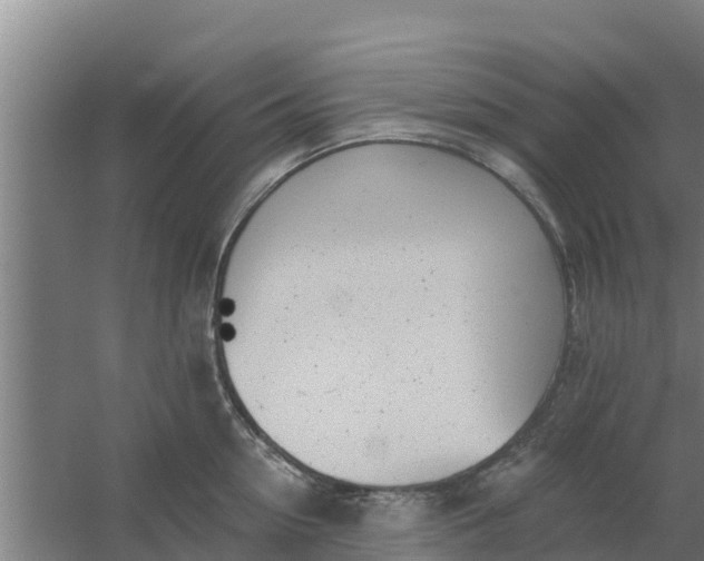 X0000059820954200511041716