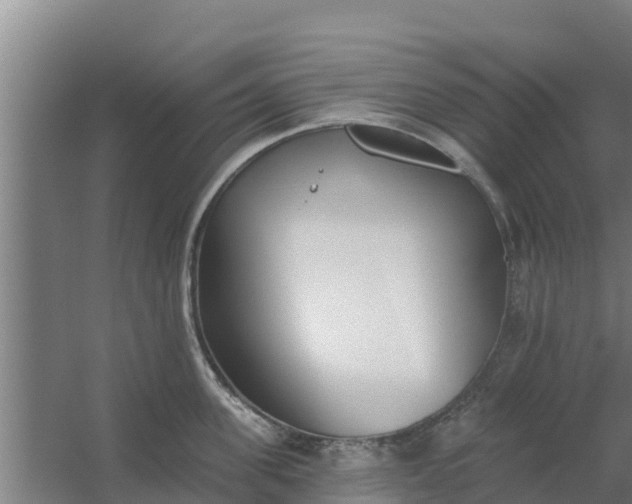 X0000059820955200511041716