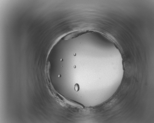 X0000059820956200511041716