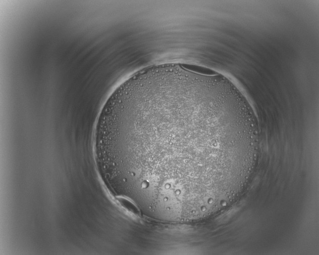 X0000059820957200511041716