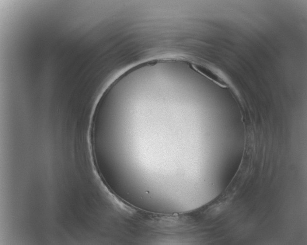 X0000059820959200511041716