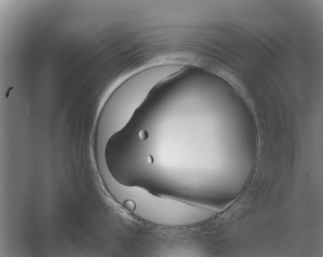 X0000059820960200511041716