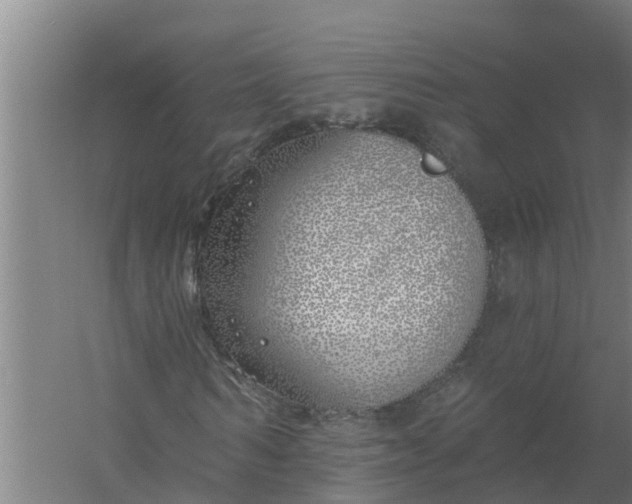 X0000059820962200511041715