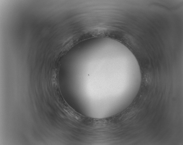 X0000059820964200511041715