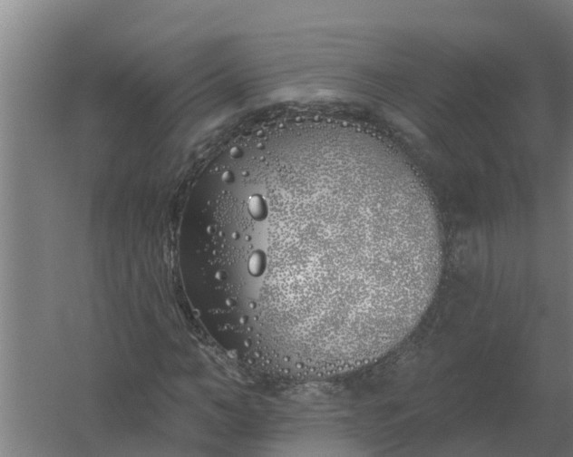 X0000059820966200511041715