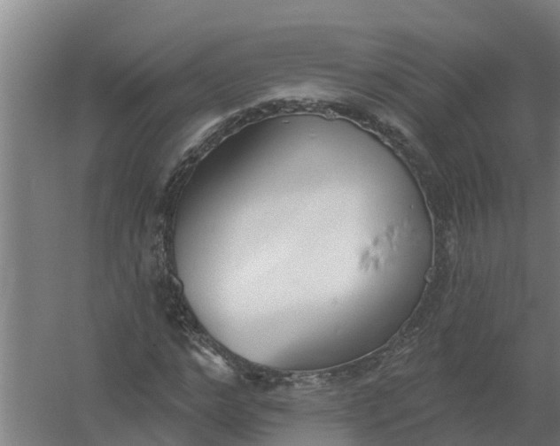 X0000059820968200511041715