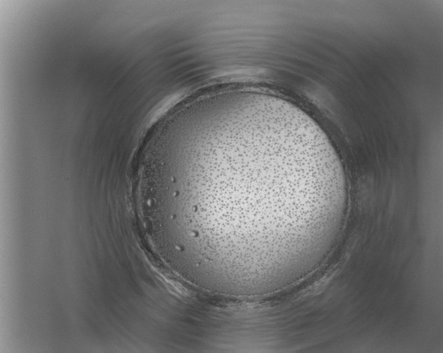 X0000059820970200511041715