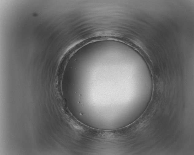 X0000059820971200511041715