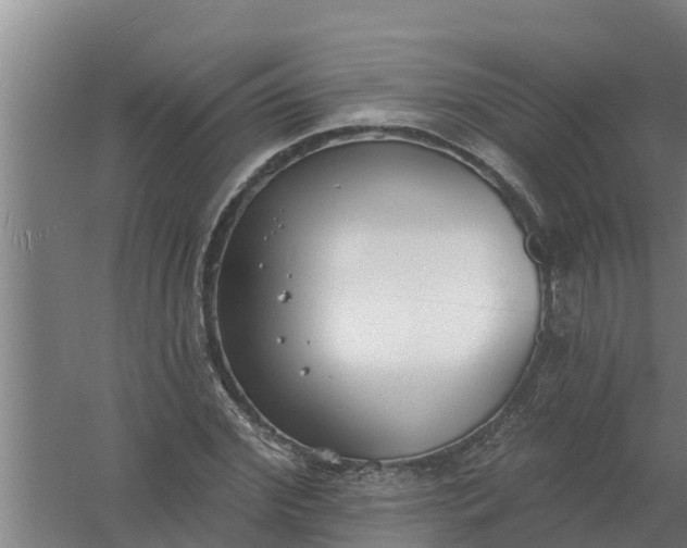 X0000059820972200511041715