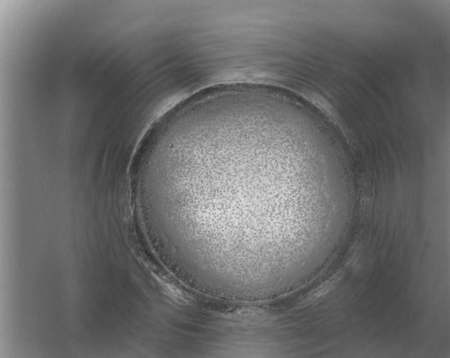 X0000059820974200511041715