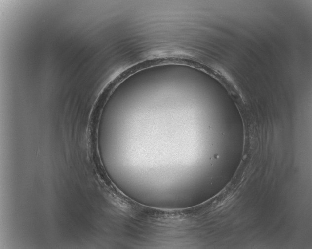 X0000059820975200511041715