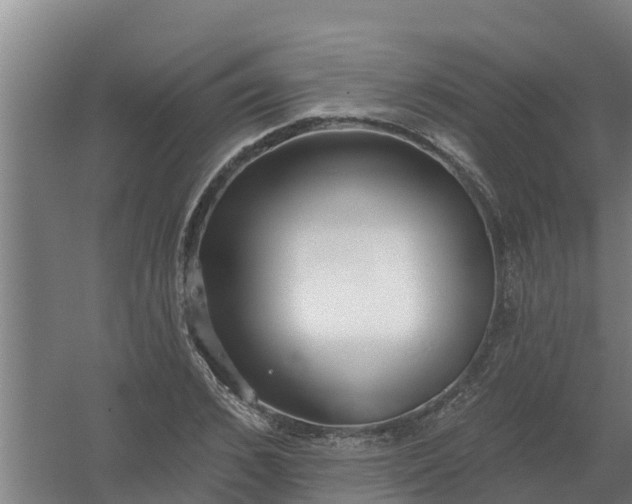 X0000059820976200511041715