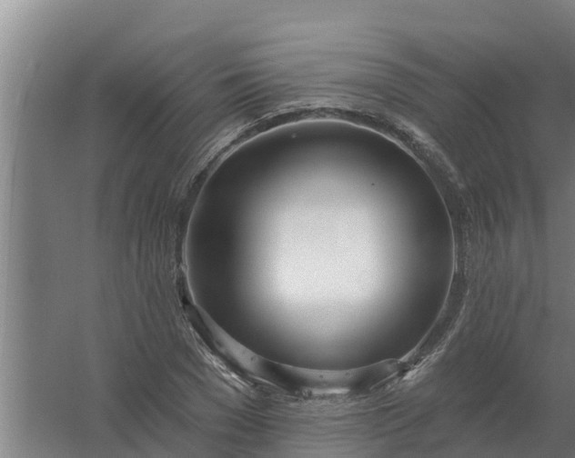 X0000059820977200511041715