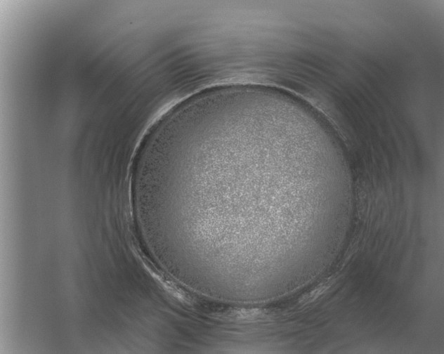 X0000059820982200511041715