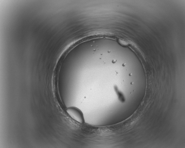 X0000059820983200511041715