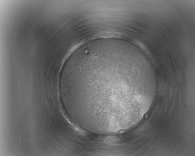 X0000059820986200511041715