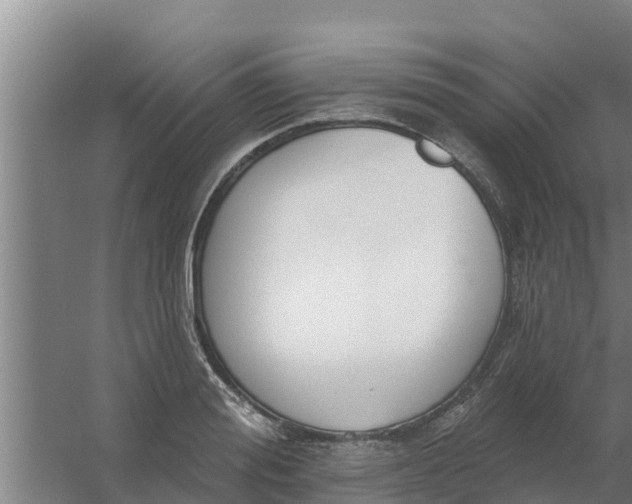 X0000059820988200511041715