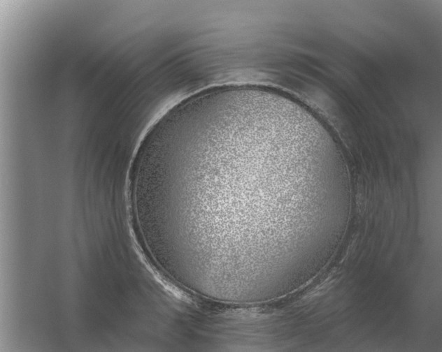 X0000059820990200511041715