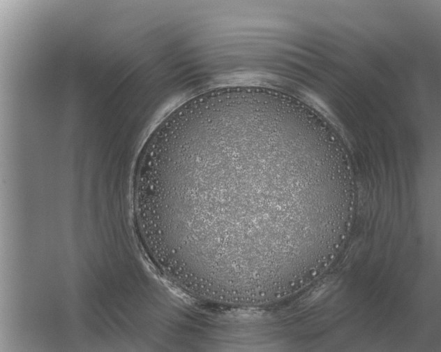 X0000059820994200511041715