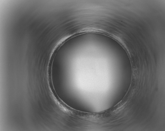 X0000059820995200511041715