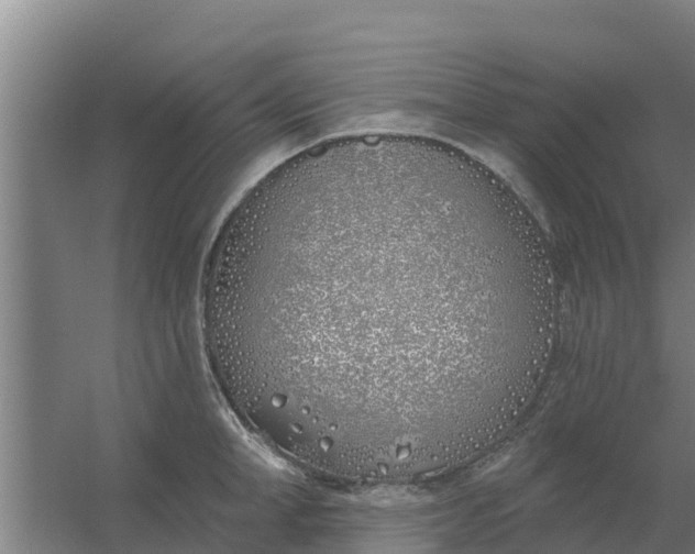 X0000059820998200511041715