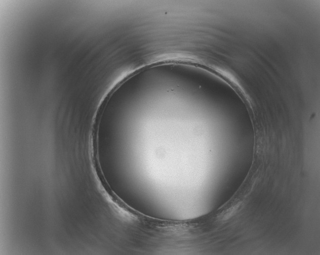 X0000059820999200511041715