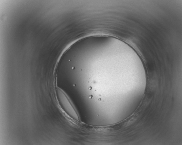 X0000059821004200511041715